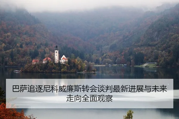巴萨追逐尼科威廉斯转会谈判最新进展与未来走向全面观察